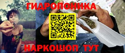 apvp Пенза