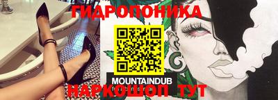 apvp Пенза