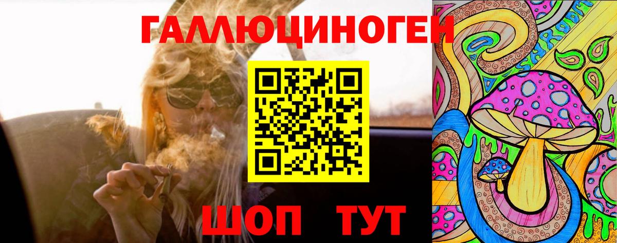 Псилоцибиновые грибы Psilocybe  Псилоцибиновые грибы GOLDEN TEACHER  Вход с VPN  Старая Купавна 
