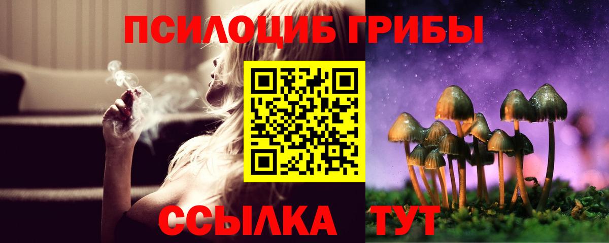 Псилоцибиновые грибы MAGIC MUSHROOMS Старая Купавна